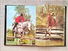 Horses