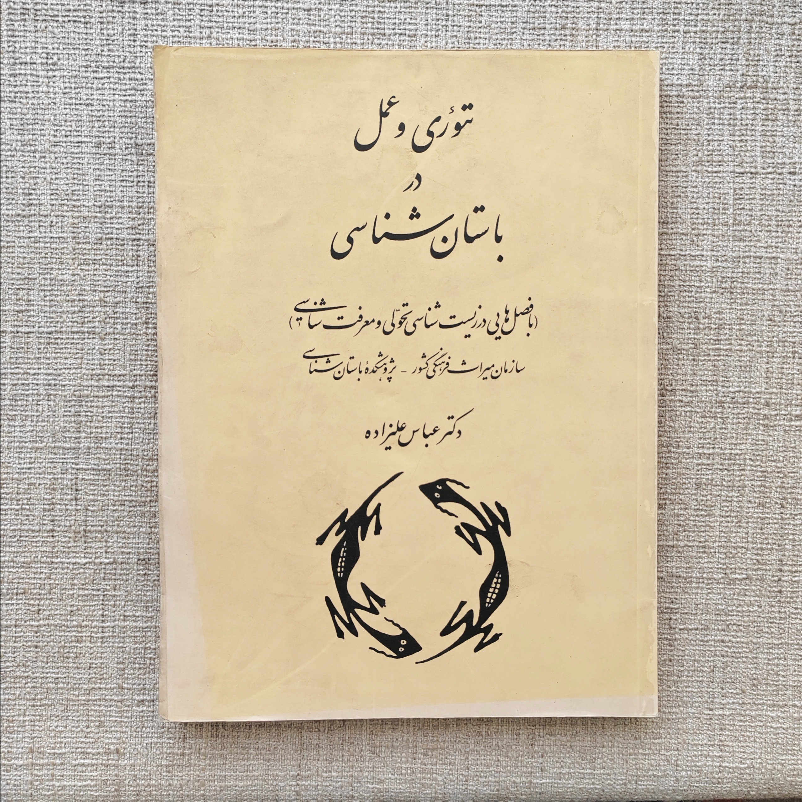 تئوری و عمل در باستان شناسی