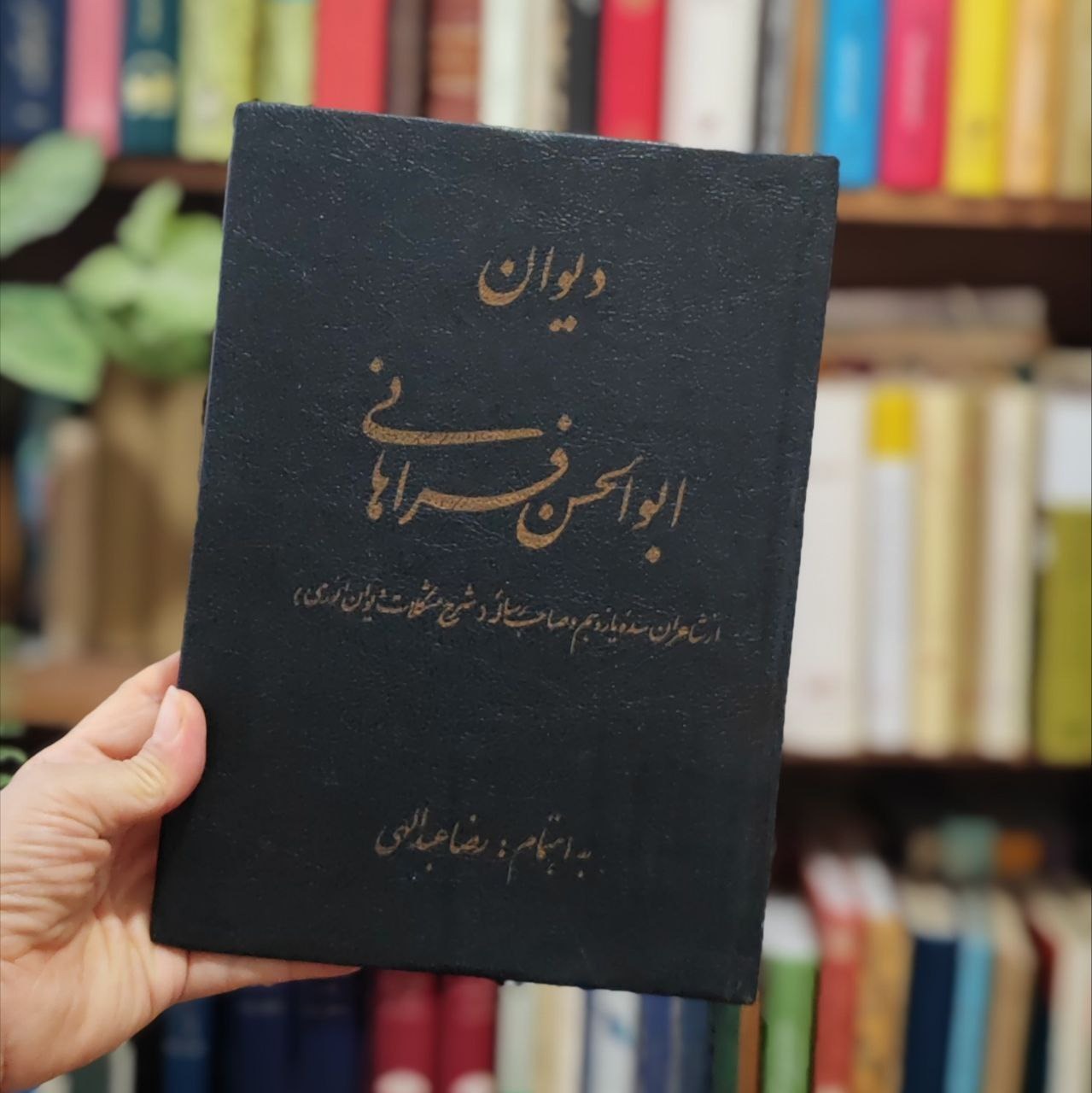 دیوان ابوالحسن فراهانی