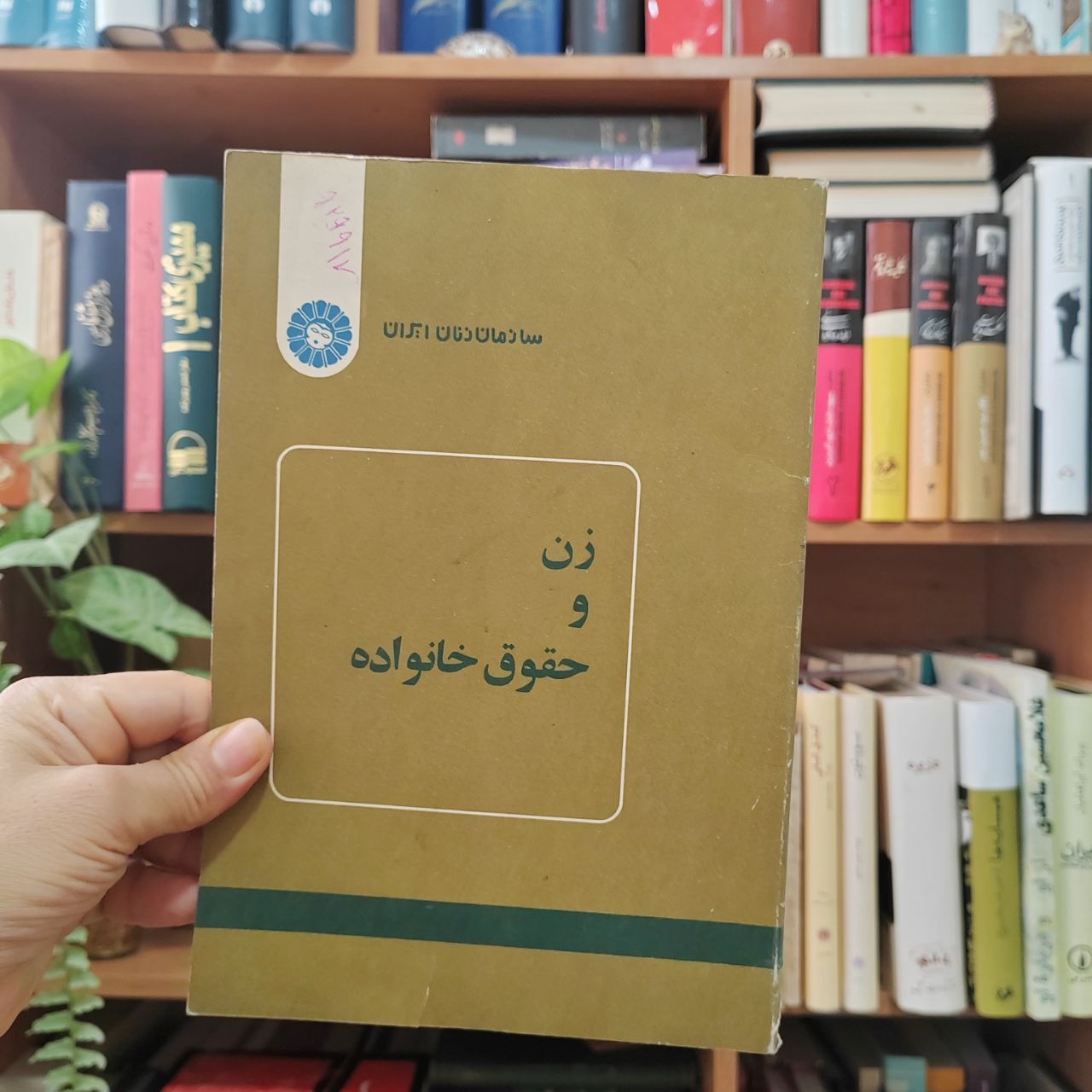 زن و حقوق خانواده ، سازمان زنان