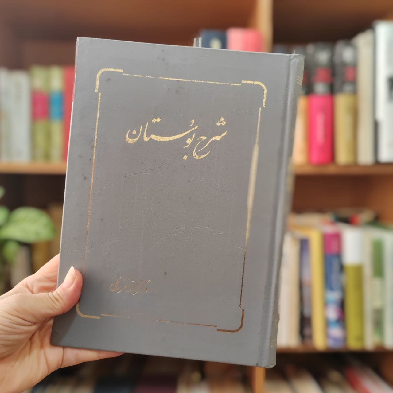 شرح بوستان دکتر محمد خزائلی