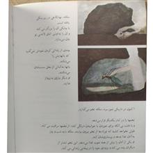 زندگی