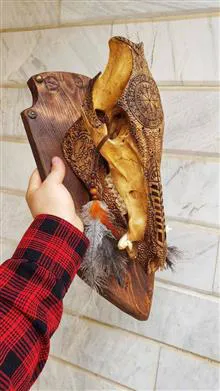 گراز