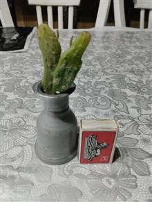 بطری