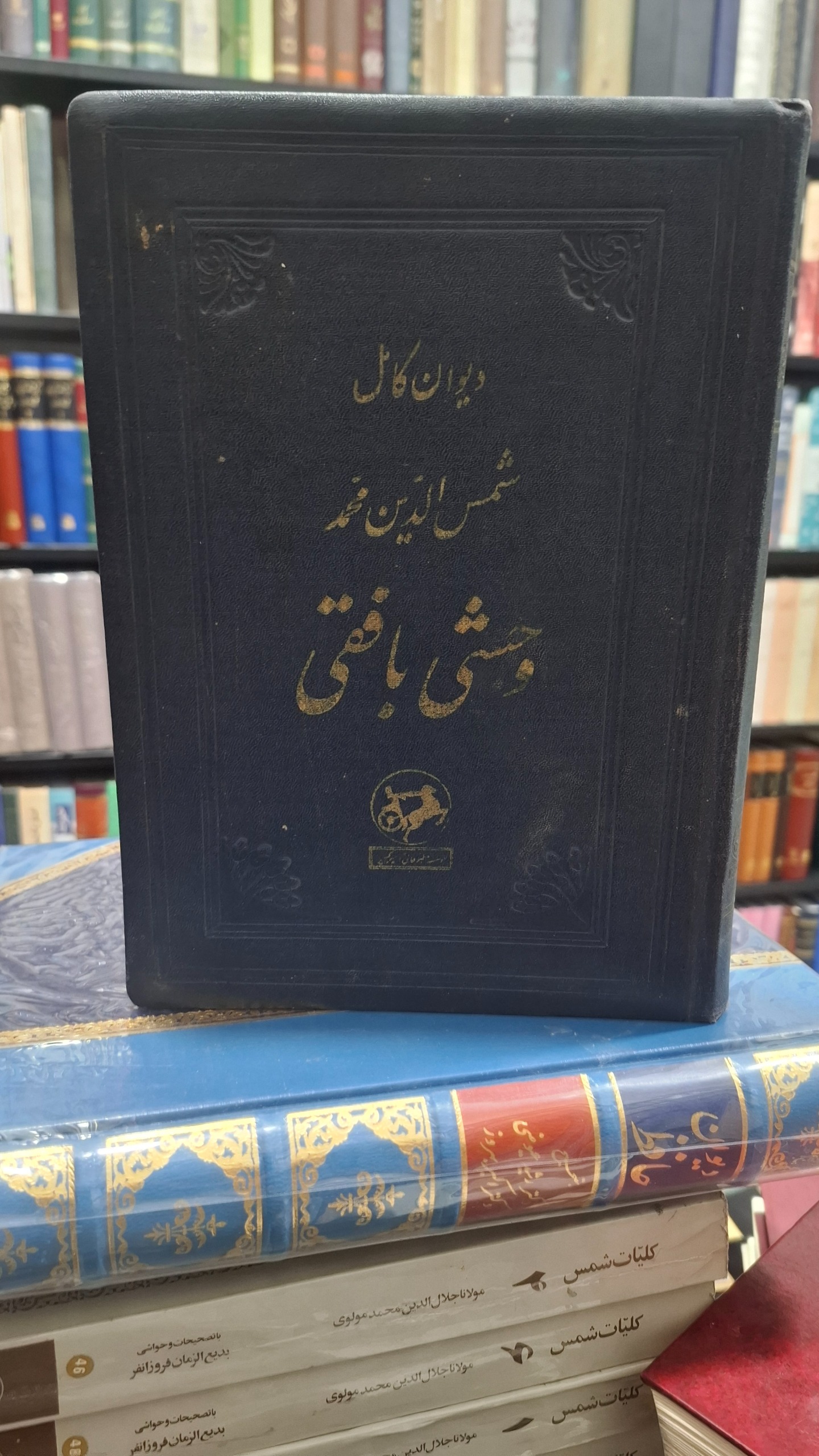 دیوان کامل وحشی بافقی / ایرج افشار