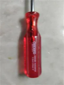 پیچگوشتی