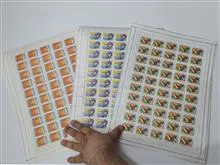ورق
