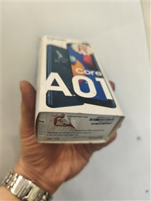کارتن