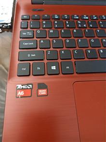 Acer