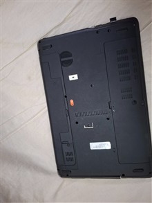 Acer