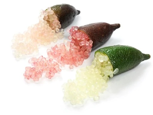 2 عدد بذر  لیمو خاویاری  -  Finger Lime
