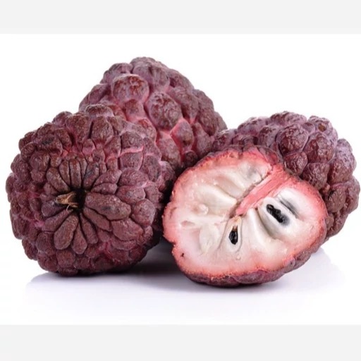 1 بذر کمیاب شوگر اپل قرمز - red sugar apple