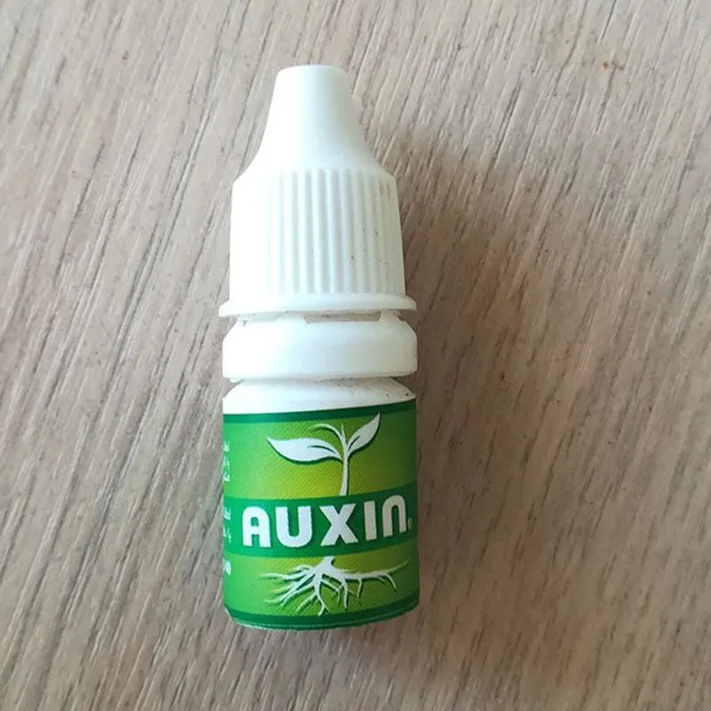 3 عدد هورمون ریشه زایی اکسین - Auxin