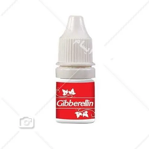 3 عدد هورمون رشد جیبرلین - Gibberellin