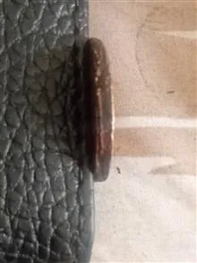 سکه
