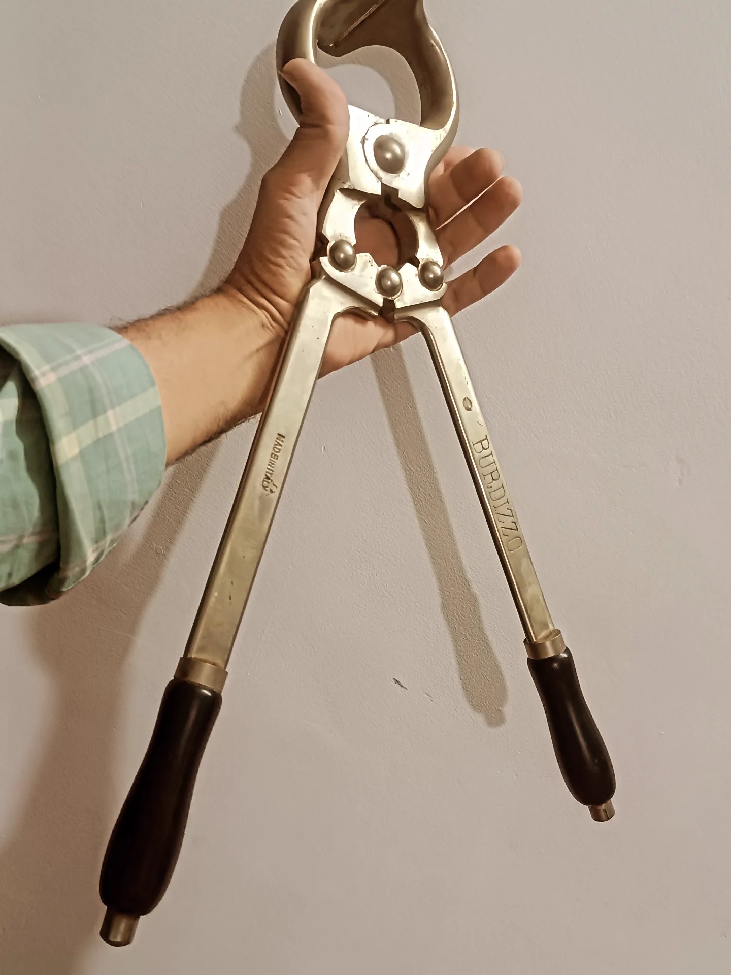 انبر اخته کن ایتالیایی