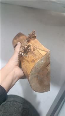 مجسمه