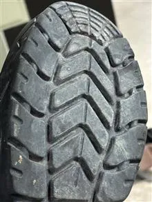 پوتین