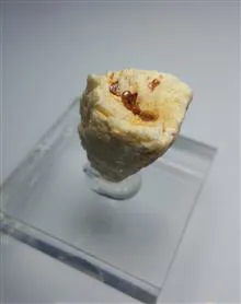 اسپسارتین