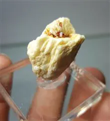 اسپسارتین