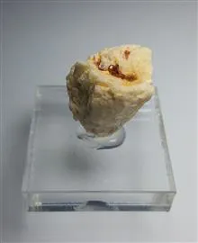 اسپسارتین