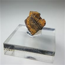 سودومورف