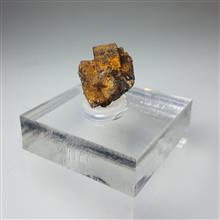 سودومورف