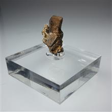 سودومورف
