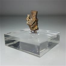 سودومورف