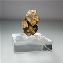 سودومورف