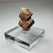 سودومورف