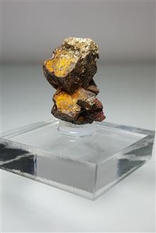 سودومورف