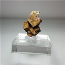 سودومورف
