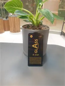 گلس