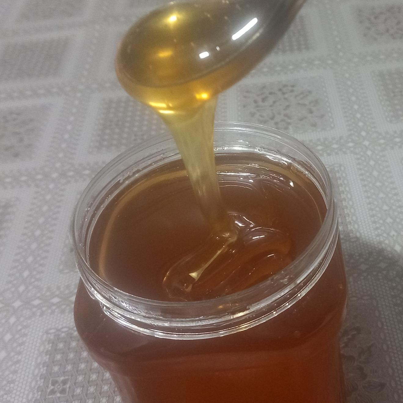 عسل طبیعی و ارگانیک و خام با شرط آزمایش (1 کیلویی)