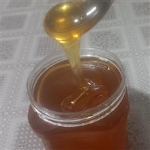 عسل