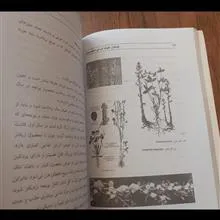زراعت