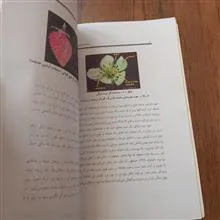 راهنمی