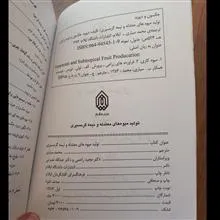 تولید