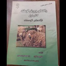 راهنمای