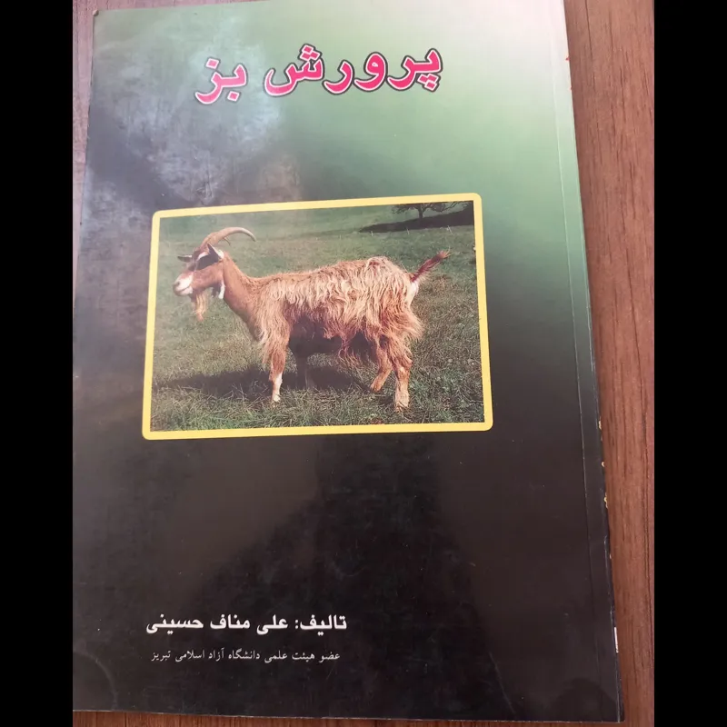 پرورش بز مناف حسینی