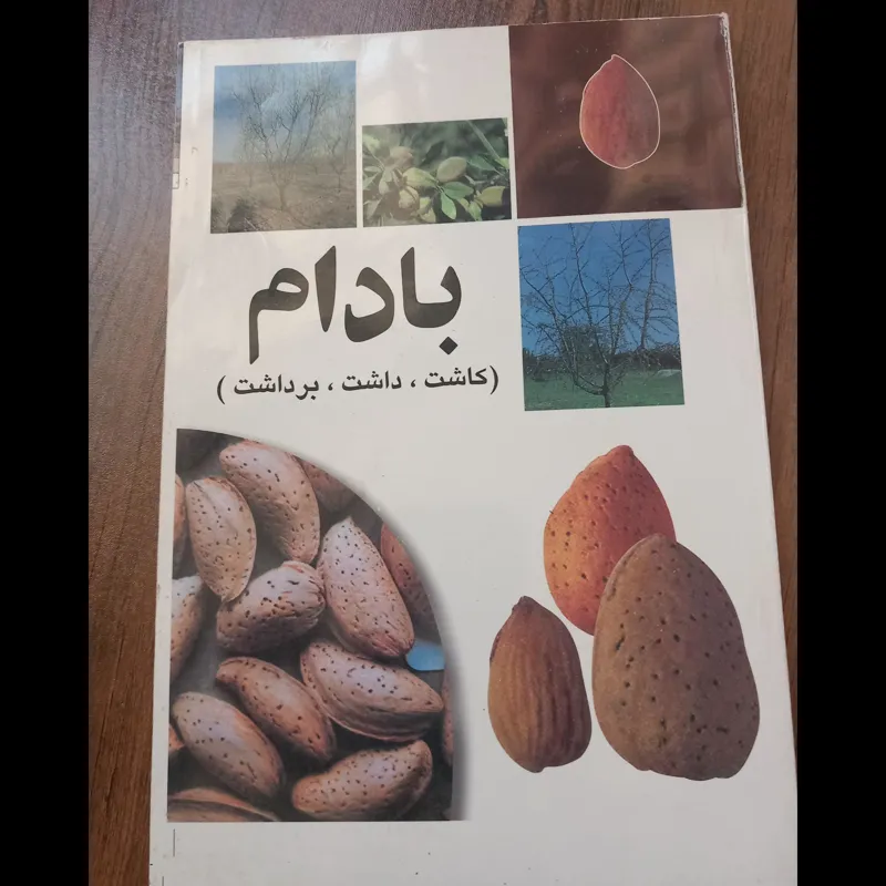 بادام کاشت داشت برداشت