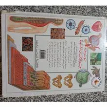 موسوعة
