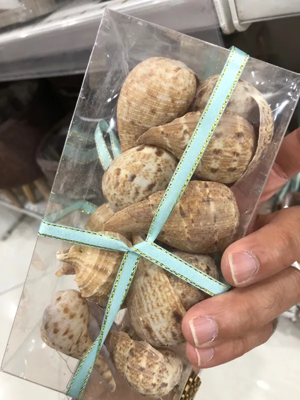 بسته صدف یکدست و خوش رنگ