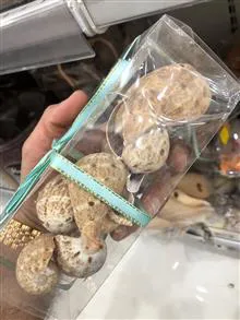بسته