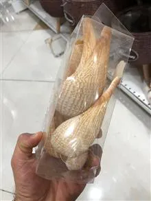 صدف