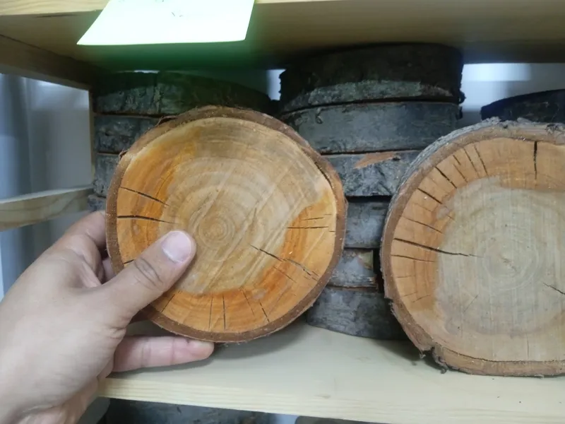 اسلایس چوب کالباسی برش گرد قطر حدود 13 سانت
