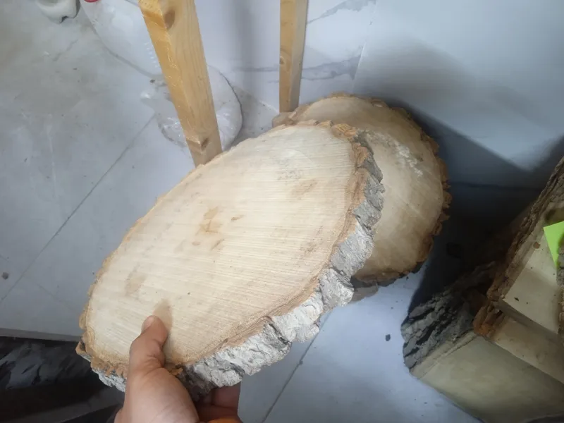 برش چوب کالباسی اسلایسی قطر حدود 30 سانت