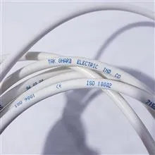 پنج