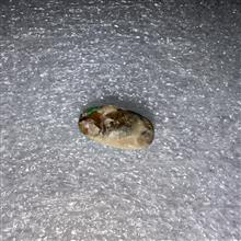 فیروزه